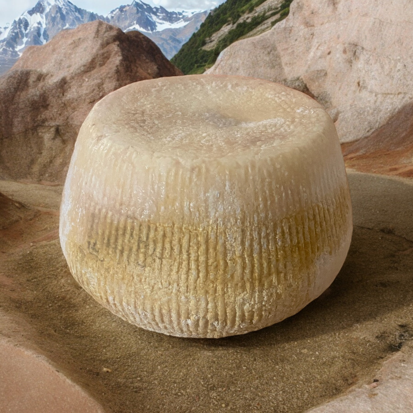 Tomme de Chèvre corse David Santucci