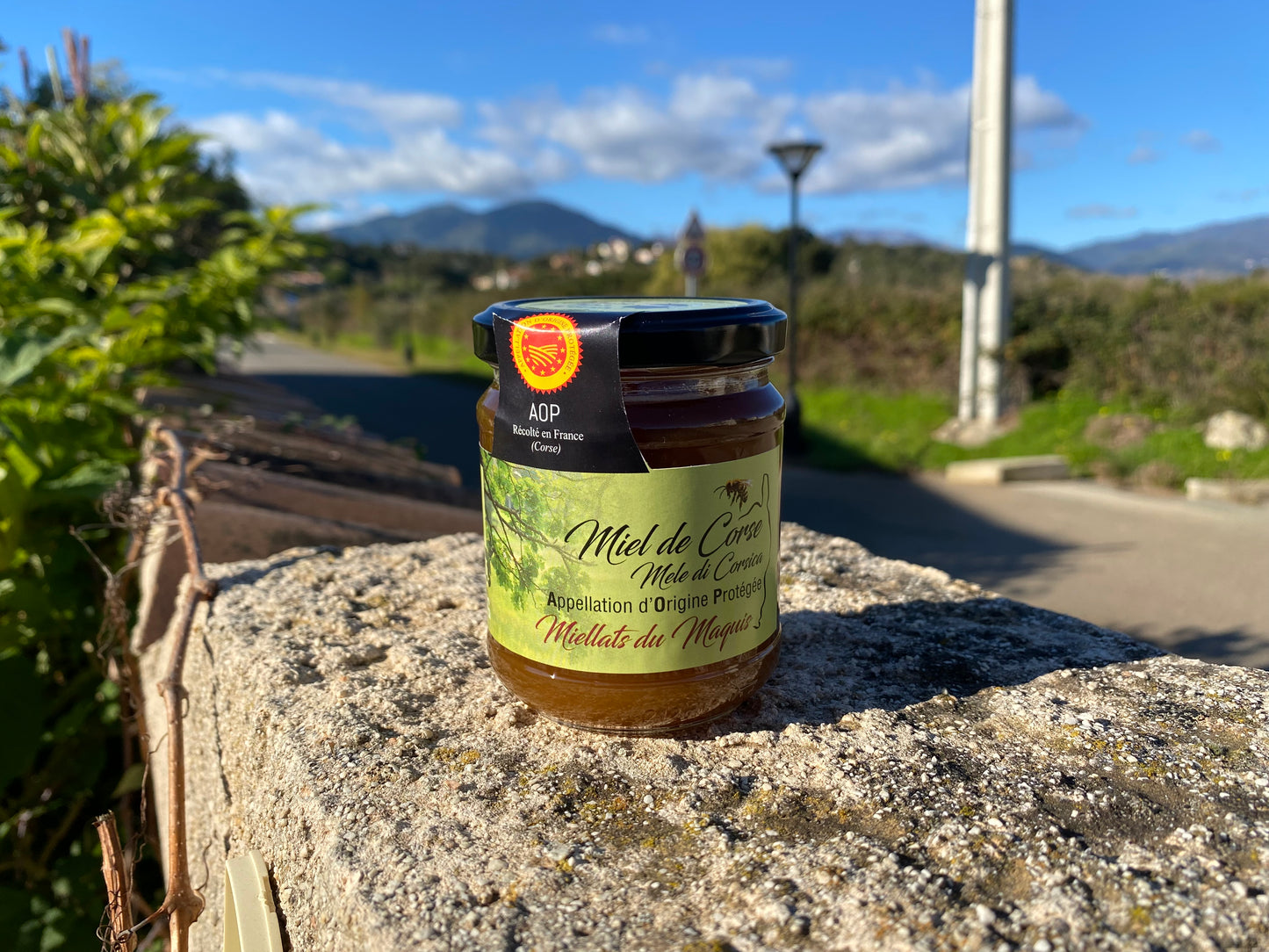 Miel de Corse AOP Miellats - Produits Corses de qualité U Gustu Corsu